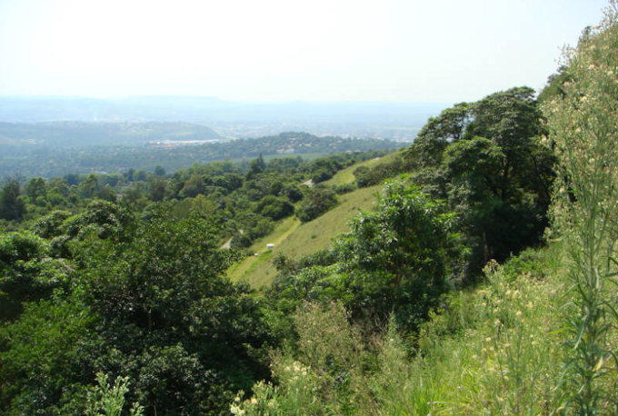 WVC - grassland to Old Howick Road - showing Umgeni Water pipeline rehabilitation